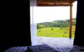 Les cabanons de Mémé Jeannette